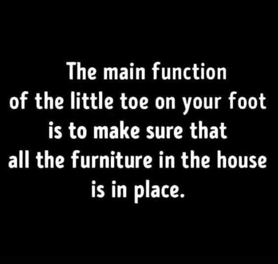 The main function of the little toe on your foot is to make sure that all the furniture in the house is in place.